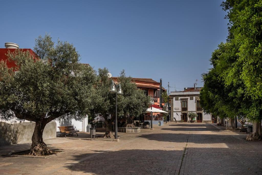 Apartamento En El Casco Historico De San Mateo Вега де Сан Матео Экстерьер фото